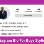 Instagram Bio For Boys Stylish