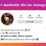 aesthetic bio for instagram