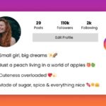 classy instagram bio