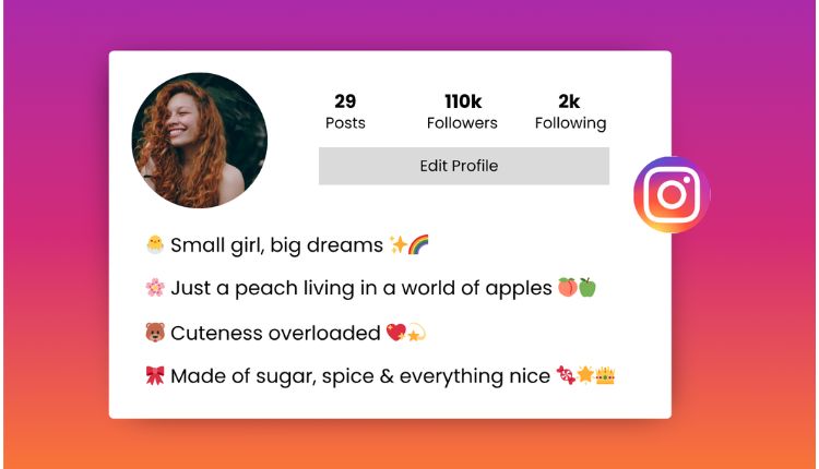 classy instagram bio