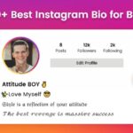 instagram bio for boys attitude