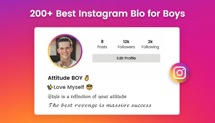 instagram bio for boys attitude