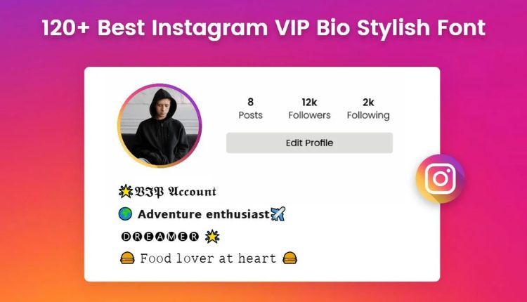 instagram bio for boys stylish font