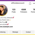 Instagram Bio for Girls Simple