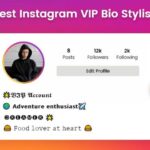 Stylish Bio For Instagram