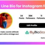 Cute Bio for Instagram